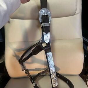 Brown Leather Horse show halter with Silver Accents